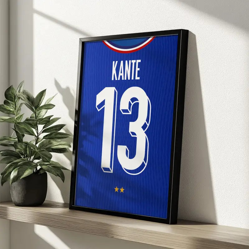 Affiche France Kanté 13 étagère