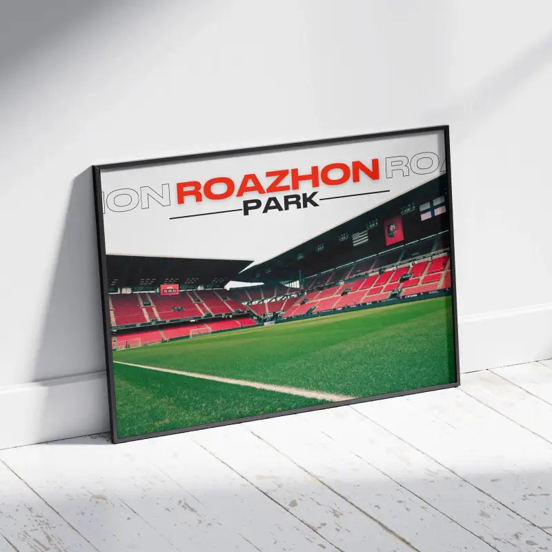 Cadre Roazhon Park | Le Cœur du Stade Rennais | Cadre Perso